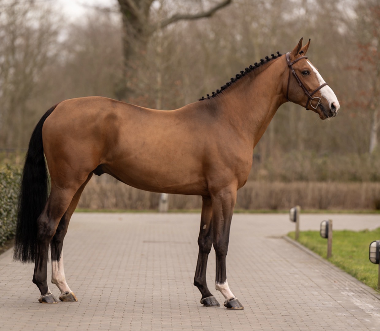 VDM de Muze jumping 4